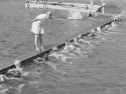 Barn på simskola utomhus övar benrörelser på rad i vattnet, lärarinna på smal brygga ger instruktioner.