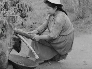 En kvinna i hatt på kaffeplantage i Colombia.
