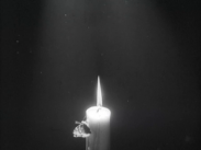 Fjärilen och ljuslågan