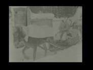 En häst drar en släde med packning på vilken det sitter en soldat och håller i tömmarna.