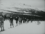 Ett tiotal skidlöpare på rad i vinterlandskap.