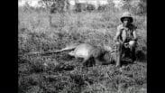 En man i tropikhjälm sitter på huk och poserar bredvid ett skjutet djur på savannen.