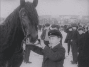 Ung pojke håller häst i betsel. Ungdomar och flervåningshus i bakgrunden, snö på marken.
