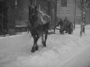 En häst drar en snöplog som hanteras av två män, stadsbebyggelse i bakgrunden.