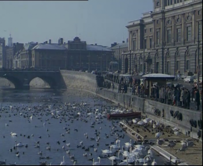 Stockholmsbilder 1963