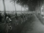 Tävlingscyklister på lång rad, träd och publik vid sidan av vägen.