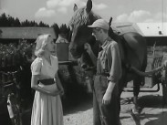 En bonde håller en häst i betslet och samtalar samtidigt med en ung kvinna i vit klänning.