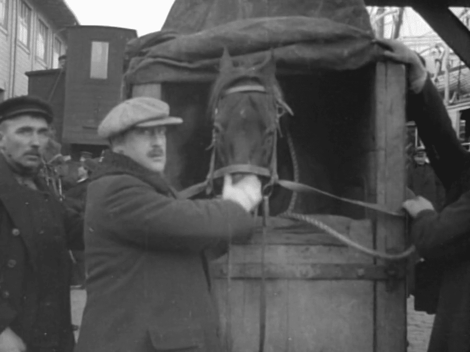 Bild på två män som har fört in en häst i en transportbox. Båda männen tittar in i kameran.