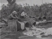 Amerikanska spritpolisen förstör ett lönnbränneri i Floridas mest otillgängliga sumptrakter, de vräker omkull stora tunnor fyllda med sprit.