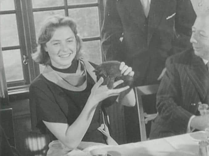 Ingrid Bergman sittandes vid ett lunchbord, hon håller i en kattunge.